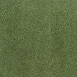 PlushTop Logo Carpet Avocado Color Swatch