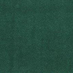 PlushTop Logo Carpet Fern Color Swatch