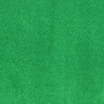 PlushTop Logo Carpet Grass Color Swatch