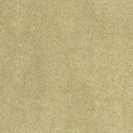 PlushTop Logo Carpet Khaki Color Swatch