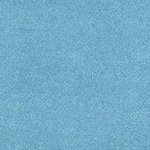 PlushTop Logo Carpet Sea Color Swatch