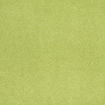PlushTop Logo Carpet Color Swatch
