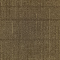 Networked Designer Carpet Tile Swatch