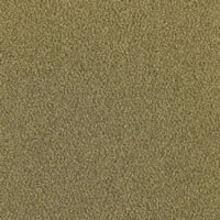 Olive Wood Designer Carpet Tile Swatch
