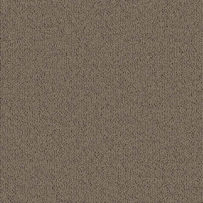 Light Taupe Designer Carpet Tile Swatch