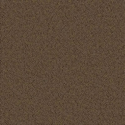 Praline Designer Carpet Tile Swatch