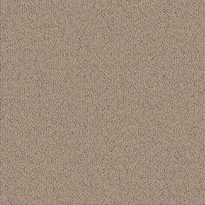 Tan Designer Carpet Tile Swatch