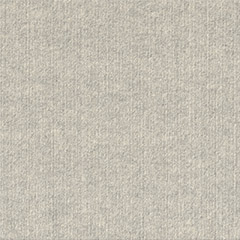 Dura-Lock Ridgeline Carpet Tile - Oatmeal Color Swatch