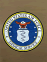 Custom Made High Definition Logo Rug US Air Force Surgeon General Pentagon of Washington DC