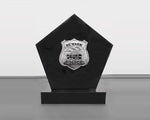 Encased 3D Badge Display