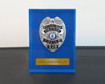 Encased 3D Badge Display