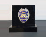 Encased 3D Badge Display